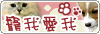 �d������, Pet Guide